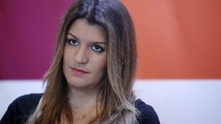 Fonds Marianne : le Parquet national financier ouvre une information judiciaire
                  L'information judiciaire du Parquet national financier (PNF) est ouverte pour "détournement de fonds publics par négligence", "abus de confiance", et "prise illégale d'intérêts".