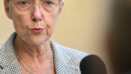 "C'est peu concret" : Elisabeth Borne veut reprendre la main sur la planification écologique
                  Ce portefeuille, confié à la Première ministre dès le premier quinquennat, a été un peu éclipsé par la réforme des retraites. Elisabeth Borne présente un premier bilan devant le Conseil national de la transition écologique, lundi 22 mai, pour rappeler qu'elle a bien la main sur ce sujet.