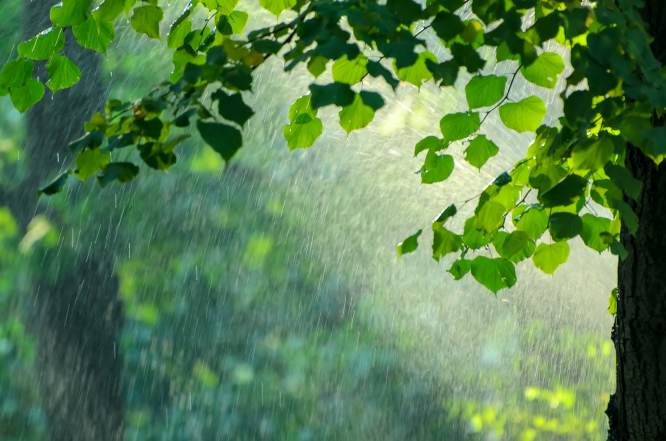 Quel impact les pluies de mai auront-elles sur le déficit hydrique de la France ?