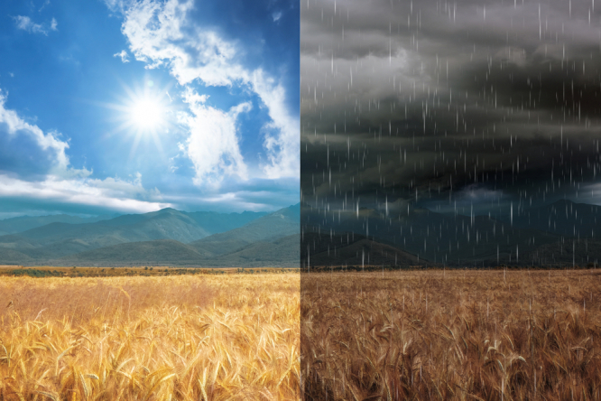 Soleil, orages : quel temps en France pour le 'lundi de Pentecôte' d'aujourd'hui ?