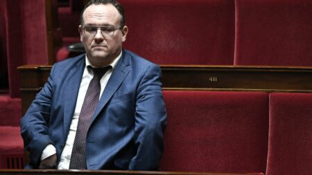 Accusations de viols visant Damien Abad : on vous résume l'affaire pour laquelle l'immunité parlementaire du député a été levée
              Depuis juin 2022, l'éphémère ministre des Solidarités est visé par une enquête préliminaire du parquet de Paris pour "tentative de viol", après une plainte sur des faits qui remonteraient au début des années 2010. Le député souhaite "être entendu par la justice comme n'importe quel autre citoyen".