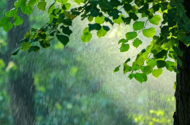 Quel impact les pluies de mai auront-elles sur le déficit hydrique de la France ?