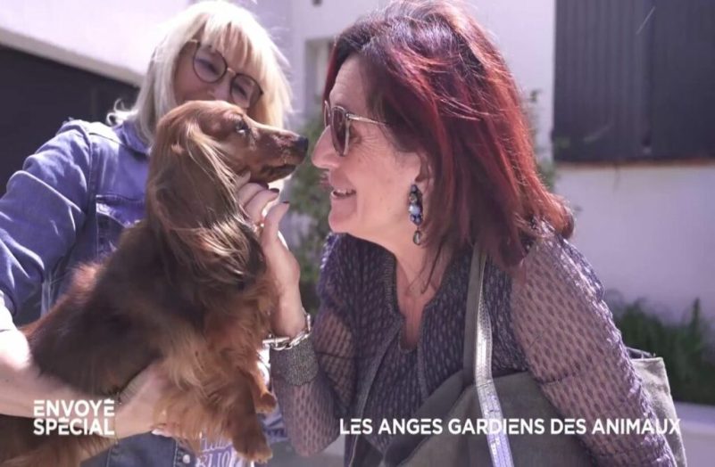 Vidéo



  

  
  


      


      

      "Je suis ton avocat" : spécialisée dans la maltraitance animale, elle va représenter devant les tribunaux ce teckel victime d'un voisin
              C'est une avocate qui plaide au nom des chats et des chiens maltraités, qu’elle représente à la barre. Cet extrait d'"Envoyé spécial" retrace l'un des nombreux dossiers de Me Isabelle Gharbi-Terrin, spécialisée dans la défense des animaux.