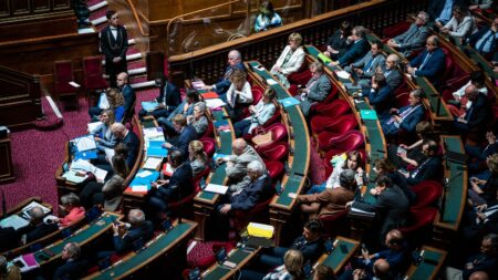 Le Sénat donne son feu vert à l’activation à distance des caméras ou micros des téléphones
              L'article 3 du projet de loi du garde des Sceaux Eric Dupond-Moretti est controversé et cristallise les inquiétudes de la gauche et d'associations.