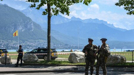 Le député Renaissance Antoine Armand dénonce "l’instrumentalisation" de l'attaque au couteau à Annecy
              Après l'attaque au couteau survenue à Annecy jeudi, la droite et l'extrême droite ont rapidement fait le lien avec l'immigration en France.