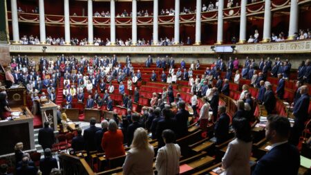 Attaque au couteau à Annecy : sitôt la minute de silence à l'Assemblée passée, la tentation de la récupération politique
              Pour les députés de droite et d'extrême droite, l'émotion a vite laissé la place à des prises de position sur le thème de l'immigration.