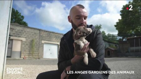 Vidéo



  

  
  


      


      

      Les anges gardiens des animaux
              Depuis 2015, le Code civil considère les animaux comme des êtres vivants doués de sensibilité : aux yeux de la loi, ils peuvent désormais être traités comme des victimes... ou des accusés.