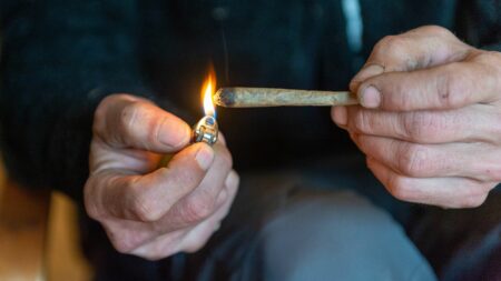 Drogues : "Ce sont toujours les mêmes personnes qui sont contrôlées, ça crée une stigmatisation", dénonce le Collectif pour une nouvelle politique des drogues
                  Après les annonces d'Emmanuel Macron sur le paiement immédiat des amendes pour possession de drogue, Marie Debrus, référente à Médecins du Monde, dénonce "l'inefficacité de la politique répressive" en France.