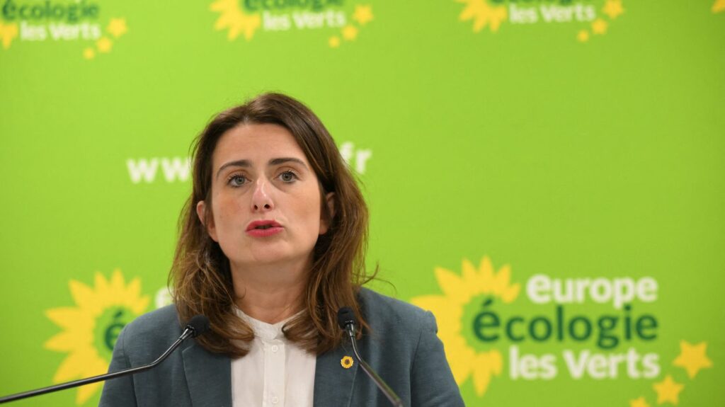 La secrétaire nationale d'EELV Marine Tondelier dénonce des "moyens surdimensionnés de répression" contre les écologistes
                  Le gouvernement va dissoudre ce mercredi le collectif les Soulèvements de la Terre et plusieurs activistes écologistes ont été interpellés la veille.
