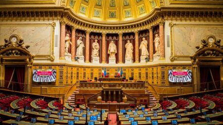 Elections sénatoriales : un soupçon de clientélisme à Paris
                  Vendredi 9 juin se joue une étape des élections sénatoriales de septembre prochain. Les grands électeurs vont être désignés. Un système électoral complexe, dénoncé notamment à Paris.