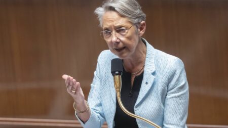 Avec Emmanuel Macron, "tout va très bien", assure Élisabeth Borne
                  Après les propos de la Première ministre désignant le RN comme l'"héritier de Pétain" et le recadrage qui en a suivi par Emmanuel Macron, le chef de l'Etat a assuré Elisabeth Borne de "toute sa confiance" ce mercredi. Une bonne entente confirmée ce jeudi par la Première ministre : "Je suis convaincue que si on veut battre l’extrême droite, il faut des résultats concrets, lui aussi".