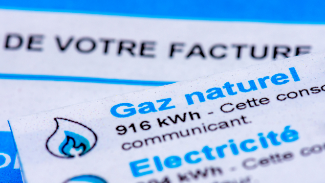 Les fournisseurs d'énergie français critiqués pour leurs pratiques tarifaires "problématiques"