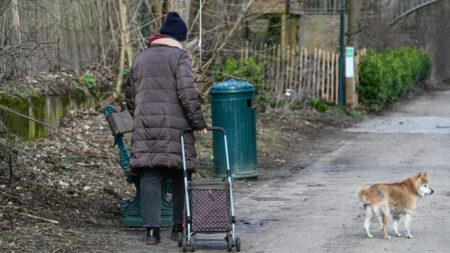 Lille : la ville porte plainte pour des soupçons d'empoisonnement après la mort de quatre chiens promenés dans un parc
              La ville appelle à "la plus grande vigilance" autour du parc de la Citadelle après la mort de quatre chiens promenés dans le secteur mercredi 28 juin.