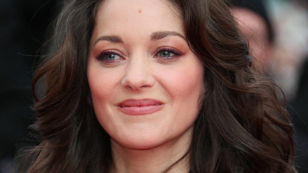 Marion Cotillard apporte son "soutien absolu" aux Soulèvements de la Terre, dissous par le gouvernement
              "Ce qui se passe dans notre pays est extrêmement grave", estime l'actrice française dans un long message sur Instagram dans lequel elle soutient le collectif dissous et accuse le gouvernement de "dérive sécuritaire".