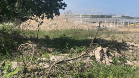 Menhirs détruits : "Je ne vais pas me laisser intimider par les tribunaux digitaux de la haine", affirme le maire de Carnac après avoir reçu des menaces de mort
              Des internautes, très indignés, ont dénoncé la destruction de menhir à Carnac pour la constrution d'un magasin de bricolage. "J'ai vécu trois jours que je ne souhaiterais pas à mon pire ennemi", confie le maire Olivier Lepick qui est sous protection des gendarmes.