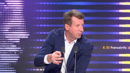 Mort de Nahel à Nanterre : Yannick Jadot attend d'Emmanuel Macron qu'il "pose des actes"
                  L'eurodéputé Vert appelle dans un premier temps à un dépaysement de l'affaire pour qu'elle soit menée de la façon la plus transparente possible.