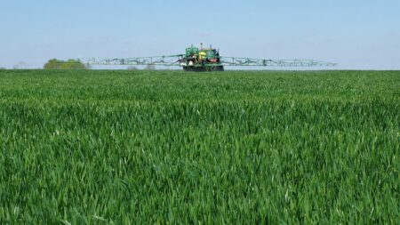 Pesticides : les députés socialistes vont créer une commission d'enquête
              Les élus du groupe de Boris Vallaud entendent faire la lumière sur "les causes de l'incapacité de la France à atteindre les objectifs des plans successifs de maîtrise des impacts des produits phytosanitaires."