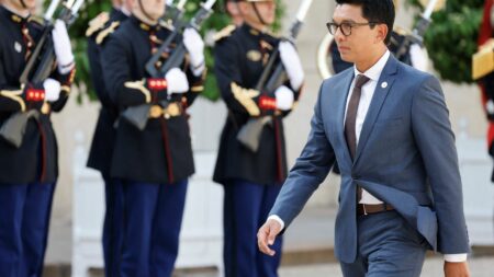 Polémique à Madagascar : le président n'est pas malgache... mais français
                  Andry Rajoelina est menacé d'une procédure de destitution : on lui reproche d'avoir obtenu la nationalité française en novembre 2014.
