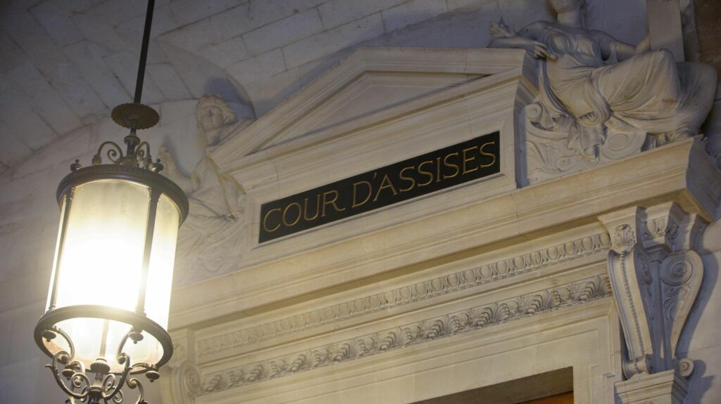 Procès "Waffenkraft" : "Il n'y avait rien de concret" se défend l'un des quatre jeunes néonazis suspectés d'avoir préparé des attentats en France
              Considéré comme le plus radical des quatre accusés, Alexandre Gilet comparaissait mercredi devant les assises spéciales de Paris. Un interrogatoire de cinq heures où l'homme a peiné à convaincre.