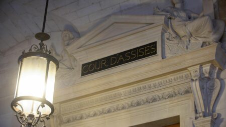 Procès "Waffenkraft" : "Il n'y avait rien de concret" se défend l'un des quatre jeunes néonazis suspectés d'avoir préparé des attentats en France
              Considéré comme le plus radical des quatre accusés, Alexandre Gilet comparaissait mercredi devant les assises spéciales de Paris. Un interrogatoire de cinq heures où l'homme a peiné à convaincre.