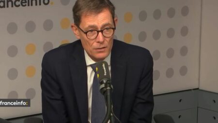 Pourquoi le Sénat veut créer une "holding" pour l’audiovisuel public
                  Ce projet, inscrit dans une proposition de loi adoptée cette semaine, fait craindre à la gauche un retour à l’ORTF.