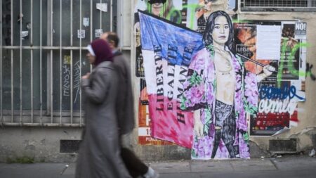 Un parti Insoumis condamné pour violation du droit d’auteur d’un artiste de rue Un parti Insoumis condamné pour violation du droit d'auteur d'un artiste de rue