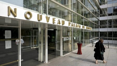 Mort de Nahel : au tribunal de Lyon, les comparutions immédiates s'enchaînent dans une ambiance "bordélisée"
                  Après les nombreuses arrestations suite aux violences urbaines, les comparutions immédiates à Lyon se déroulent dans une ambiance tendue. Des sympathisants d'ultra-gauche ont interrompu l'une de ses séances ce mardi.