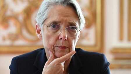 Transition écologique : l'Etat va mobiliser 7 milliards d'euros supplémentaires en 2024, annonce Elisabeth Borne
              Cet investissement devra servir à "financer les rénovations énergétiques, les transports en commun, les énergies renouvelables et la transition agricole".