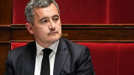 "Il ne peut pas y avoir de passe-droit" : pourquoi les magistrats alertent sur une "dégradation de l'Etat de droit" après les propos de Gérald Darmanin
              Les magistrats disent notamment "craindre qu'une forme de radicalisation des positions s'installe parmi les fonctionnaires de police" après la rencontre entre le ministre de l'Intérieur et les syndicats de police.