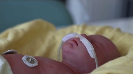 Cinéma : quand les tournages ont besoin de faux nourrissons en silicone
              L'entreprise Cinébébé fabrique de faux nourrissons en silicone pour les tournages. La location d'un faux bébé coûte 750 euros par jour.