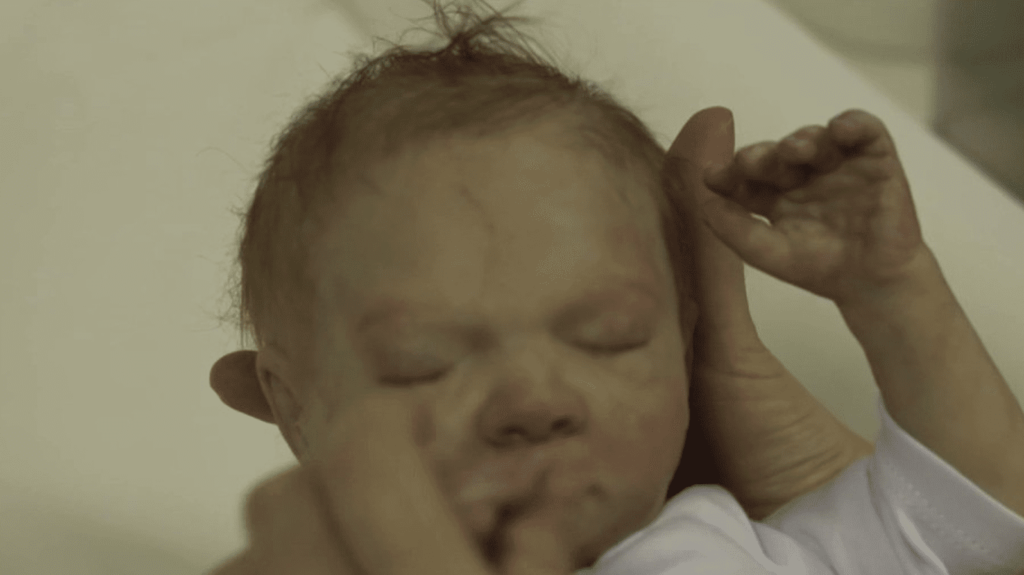 Cinéma : immersion dans la fabrique des bébés en silicone pour les tournages
                  Le cinéma fait de plus en plus appel à de faux nourrissons, faits de silicone, pour les tournages. Les équipes de France 3 se sont rendues dans l’entreprise Cinébébé, qui les conçoit.