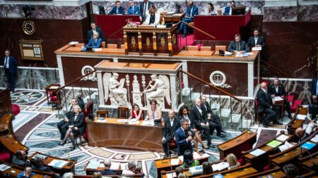 "On sort de cette séquence épuisés" : alors que leurs vacances démarrent, les députés racontent une année éprouvante
              La session parlementaire à l'Assemblée nationale se termine dimanche 23 juillet. L'occasion pour les députés de prendre des vacances, après une première année de mandature harassante, marquée par de fortes actualités.