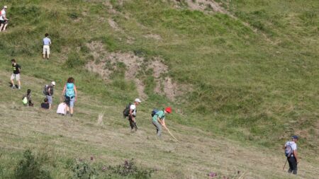Disparition du petit Emile : "C'est décourageant de dire qu'on ferme", l'incompréhension de certains après l'annonce de la fin des battues ouvertes aux bénévoles
              Plus de 48 heures après la disparition du petit Emile, les investigations se poursuivent au Vernet dans les Alpes-de-Haute-Provence. Ce lundi soir, le procureur a demandé aux citoyens de ne plus se rendre au village pour aider dans les recherches, au grand désarroi des bénévoles mobilisés.