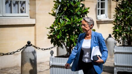 Émeutes après la mort de Nahel : l'exécutif cible La France Insoumise
                  La crise provoquée par les émeutes qui ont suivi la mort de Nahel suscite des affrontements politiques. L'exécutif a décidé de prendre pour cible La France Insoumise, comme l'explique le journaliste Guillaume Daret, présent sur le plateau du 8 Heures, mercredi 5 juillet.