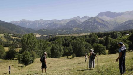 Enfant de deux ans porté disparu : ce que l'on sait de la disparition inquiétante d'un enfant dans les Alpes-de-Haute-Provence
              Une enquête est ouverte après la disparition inquiétante d'un enfant de deux ans et demi au Vernet, dans les Alpes-de-Haute-Provence. Ce garçon a échappé à la vigilance de ses grands-parents depuis samedi soir.