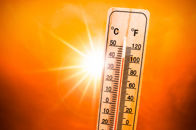La moitié est de la France en alerte canicule avec des températures qui devraient atteindre 40 ° C