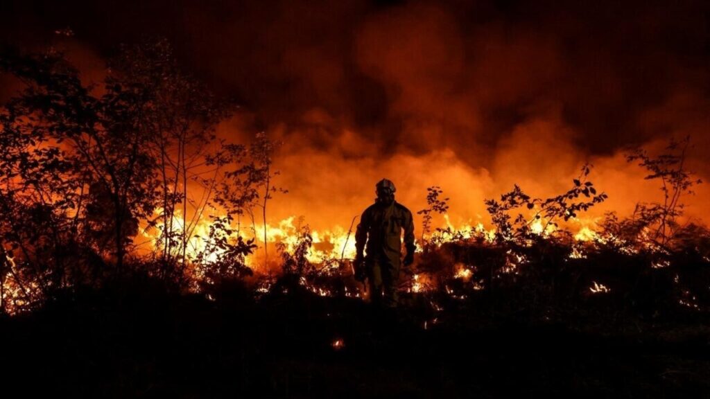 Le changement climatique et la présence humaine accrue favorisent les incendies de forêt en France