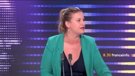 Le monde a-t-il connu "ses sept jours les plus chauds depuis 100 000 ans", comme l'affirme Mathilde Panot ?
              Alors que les records historiques de chaleur se succèdent, la cheffe de file des députés La France insoumise affirme que le monde a connu sa semaine la plus chaude depuis plus de 100 000 ans. Une affirmation très probablement vraie.