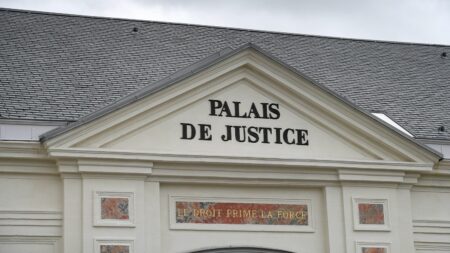 Nord : une mère mise en examen pour assassinat, soupçonnée d'avoir tué ses deux enfants
              Les corps de ses deux enfants de 5 et 10 ans ont été retrouvés, vendredi, au domicile familial situé dans la commune de Wargnies-le-Grand, près de Valenciennes.