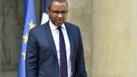 L'ancien ministre de l'Education Pap Ndiaye nommé ambassadeur auprès du Conseil de l'Europe
              Pap Ndiaye prendra ses fonctions à partir du 1er août, a annoncé l'Elysée.
