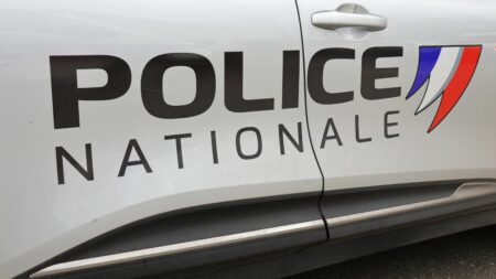 Paris : trois hommes en garde à vue, soupçonnés de vol avec violences suivi d'un viol sur une étudiante
              Samedi, vers 23h, les policiers sont intervenus dans une résidence étudiante dans le 13e arrondissement de Paris pour l'agression d'une jeune femme.