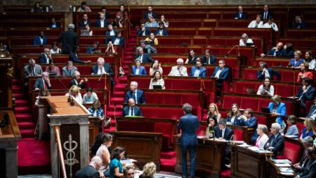 Climat : les députés adoptent le projet de loi sur l'industrie verte, avant de partir en vacances
              Le texte a été voté avec le soutien des LR et RN par 217 voix pour, 75 contre et 18 abstentions. Les sénateurs avaient déjà adopté une version du projet de loi et les deux chambres vont désormais devront trouver un compromis après les vacances.