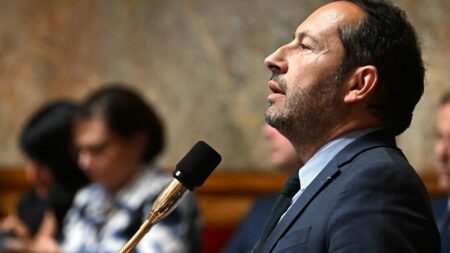 Le vrai du faux. Les infrastructures sont-elles la première cause d'accident de la route en France, comme l'affirme Sébastien Chenu ?
              D'après le porte-parole du Rassemblement national, ce ne sont ni la vitesse, ni la consommation d'alcool ou de stupéfiant qui sont les premières causes d'accidents de la route en France, mais bien les infrastructures (routes, panneaux de signalisation, barrières, etc.). Or, c'est faux. On vous explique.
