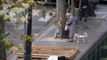 Un maire français d'extrême droite introduit des passeports pour chiens dans la répression du désordre canin