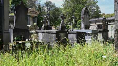 Plein de vie : le cimetière du Père Lachaise à Paris devient plus vert