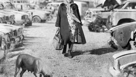 "The Wastetown" : une femme iranienne broyée dans un mélodrame au réalisme poétique et politique
              Une femme est à la recherche de son enfant dans un cimetière de voitures en Iran, filmée comme un tableau de Nicolas de Staël couleur métal. En salles le 2 août.