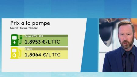 Pouvoir d'achat : les prix des carburants augmentent de nouveau
              C'est la mauvaise surprise de l'été : les prix des carburants augmentent de nouveau. Partir en week-end revient donc plus cher. Le journaliste Olivier Poncelet fait le point sur le plateau du 12/13, mardi 8 août
