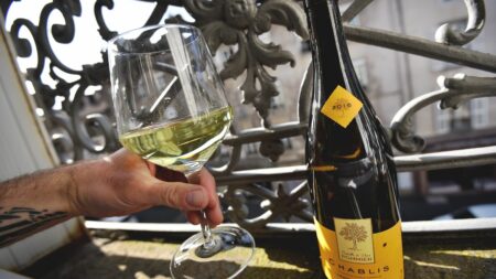 Addictions France dénonce l’infiltration de l’État par le lobby alcool suite à l’annulation de campagnes de prévention Campagnes de prévention sur les risques de l'alcool annulées : "Le lobby de l'alcool a infiltré tout l'appareil d'Etat" dénonce l'association Addictions France
"Il y a quand même 40 000 morts par an. C'est la ville de Tarbes tous les ans qui est rayée de la carte", s'indigne Bernard Basset, médecin spécialiste en santé publique et président de l’association Addictions France.