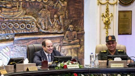 Aide militaire française détournée en Egypte : une journaliste travaillant pour Disclose et "Complément d'enquête" placée en garde à vue
              Ariane Lavrilleux a révélé dans une enquête qu'une mission de renseignement française, au profit de l'Egypte au nom de la lutte antiterroriste, avait été détournée par l'Etat égyptien pour effectuer des frappes aériennes.