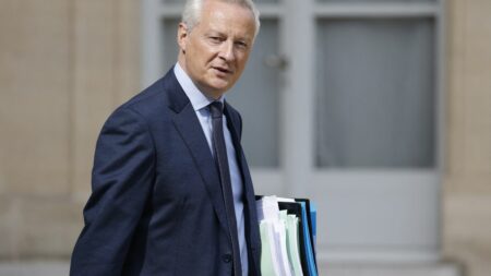 Baisses d’impôts pour les classes moyennes envisagées pour le budget 2025, annonce Bruno Le Maire Des baisses d'impôts pour les classes moyennes pourraient être mises en place "si possible dès le budget 2025", annonce Bruno Le Maire
Emmanuel Macron avait promis en mai dernier des baisses d'impôts supplémentaires pour "les classes moyennes" avec des "revenus entre 1 500 et 2 500 euros".